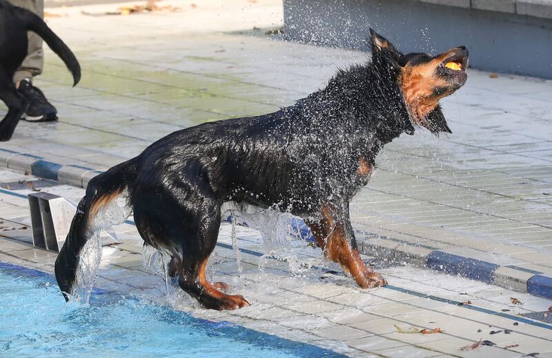 350_0008_2805026_09_10_2021Theiss_25