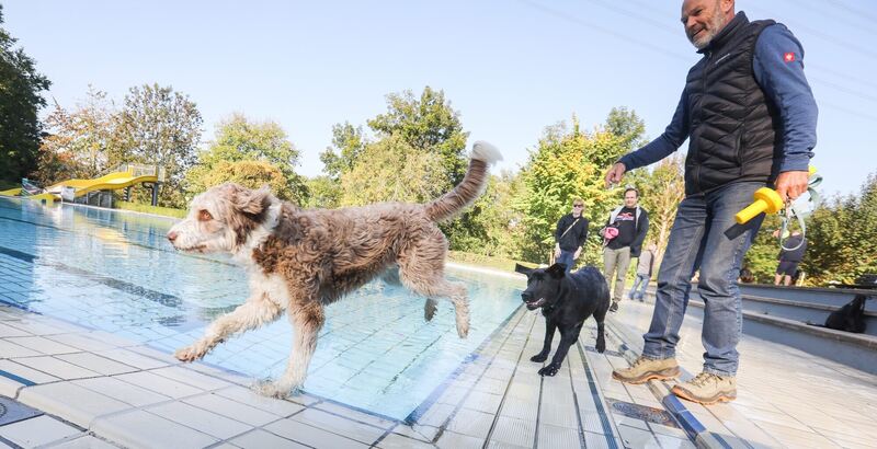 350_0008_2805029_09_10_2021Theiss_28