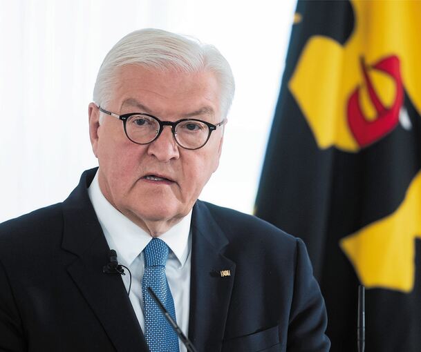 Bundespräsident Frank-Walter Steinmeier hat den Preis an Oberbürgermeister Matthias Knecht überreicht. Foto: dpa