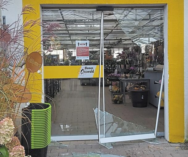 Orchidee und Co mögen keine kalte Luft. Karin Osswald ist froh, dass die Zimmerpflanzen den Einbruch unbeschadet überstanden haben. Foto: privat