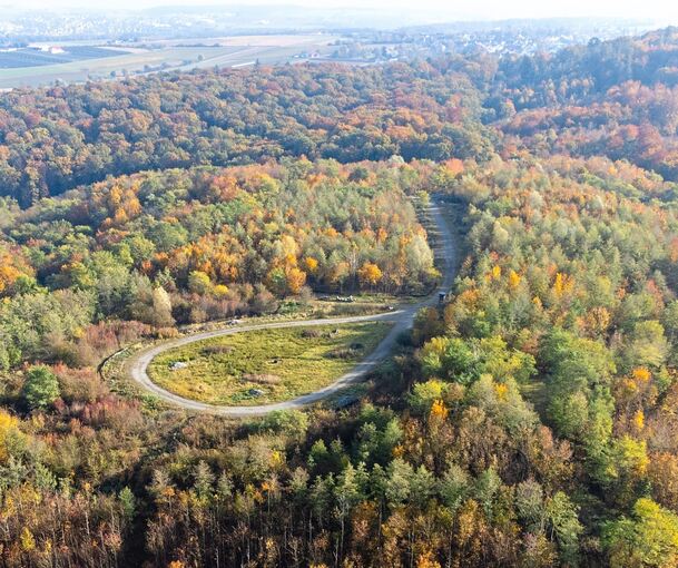 Im Vergleich die Deponie im Oktober 2021, vor den Rodungen. Foto: Holm Wolschendorf