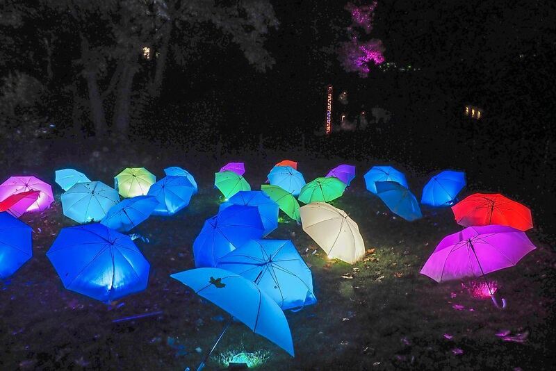 350_0008_2831112_29_10_21Wolschendorf_75