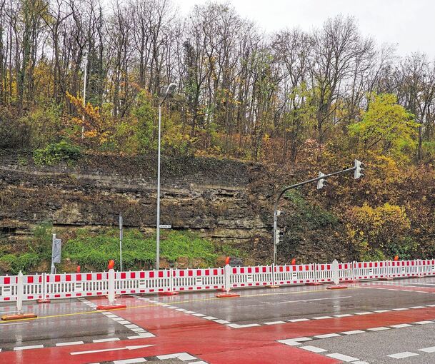 Um Arbeiten an der Felsböschung in der Marbacher Straße vornehmen zu können, sind der Radweg und die Fahrbahn Richtung Neckarweihingen aktuell gesperrt.Fotos: Holm Wolschendorf