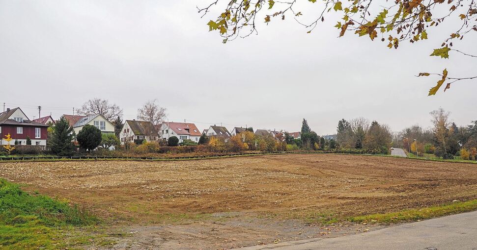 Mit dieser Idylle ist es bald vorbei. Auf der ehemaligen Ackerfläche werden ab April Mehrfamilienhäuser gebaut. In diesen Tagen beginnen die Erschließungsarbeiten. Foto: Holm Wolschendorf