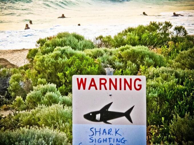 Warnung vor Haien an einem Strand in Australien Warnung vor Haien an einem Strand in Australien