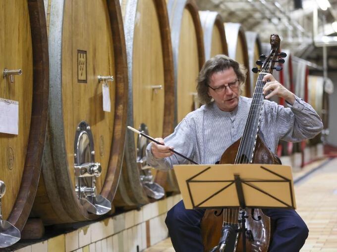 Winzer wollen mit klassischer Musik Wein veredeln