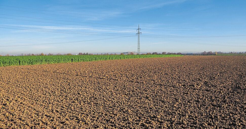Noch fruchtbarer Boden, bald Gewerbegebiet: Landwirtschaftliche Fläche bei Bosch in Schwieberdingen, an deren Umwandlung Möglingen nicht mehr mitwirken will. Foto: Holm Wolschendorf