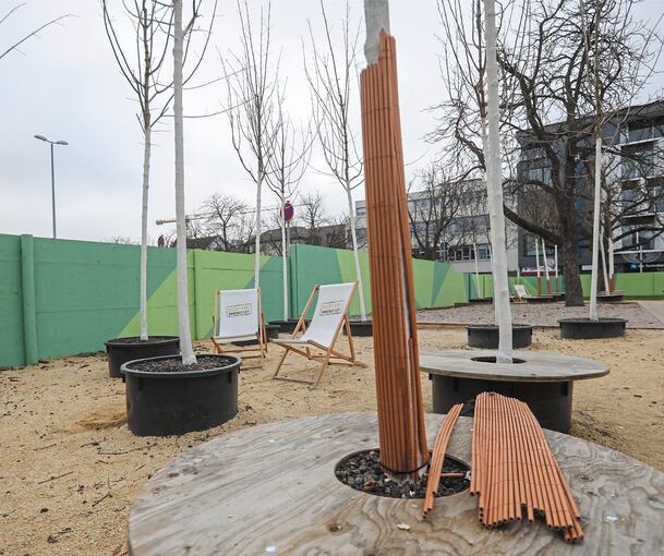 Ein kleiner Vorgeschmack: der provisorische Mini-Baumpark auf dem Arsenalplatz. Archivfoto: Ramona Theiss