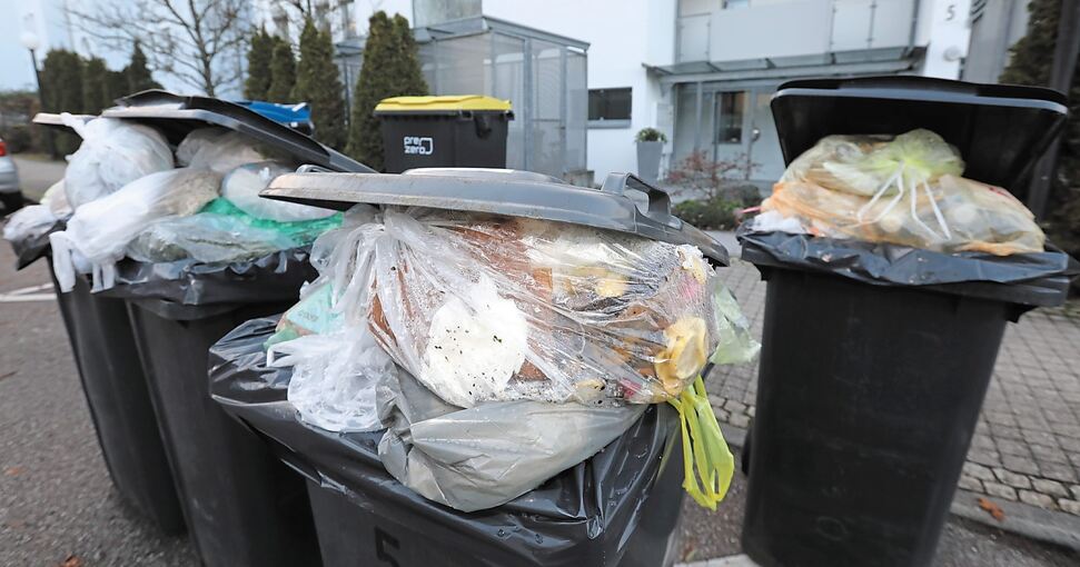 Übervolle Mülltonnen am Montag in der Oststadt. Foto: Ramona Theiss
