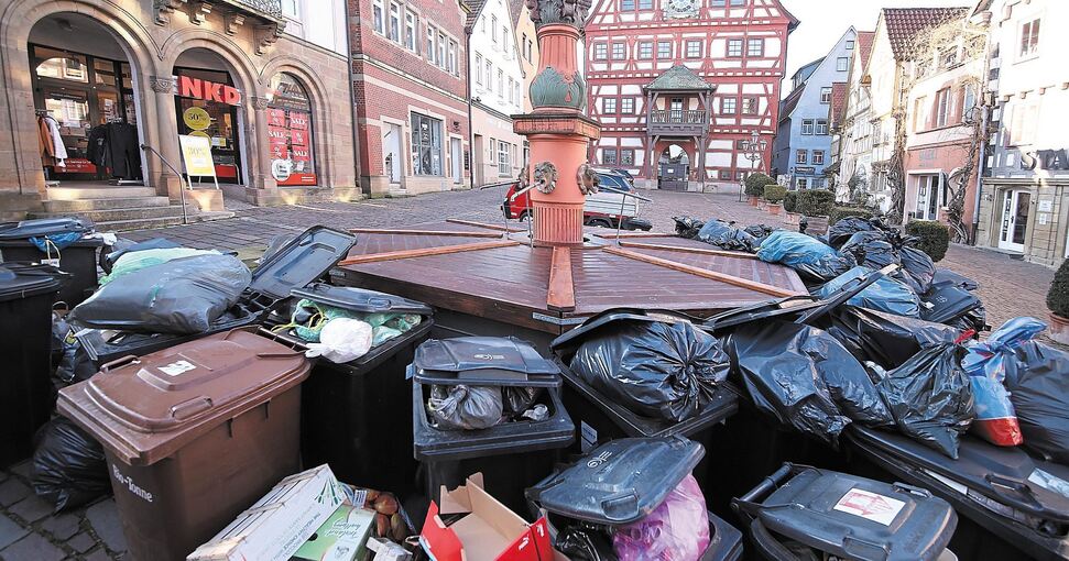 In Besigheim quillt der Müll ebenso über wie in anderen Kommunen des Kreises. Foto: Alfred Drossel