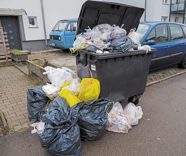 In der Ludwigsburger Oststadt stapelt sich in manchen Straßen der Müll. Foto: Holm Wolschendorf
