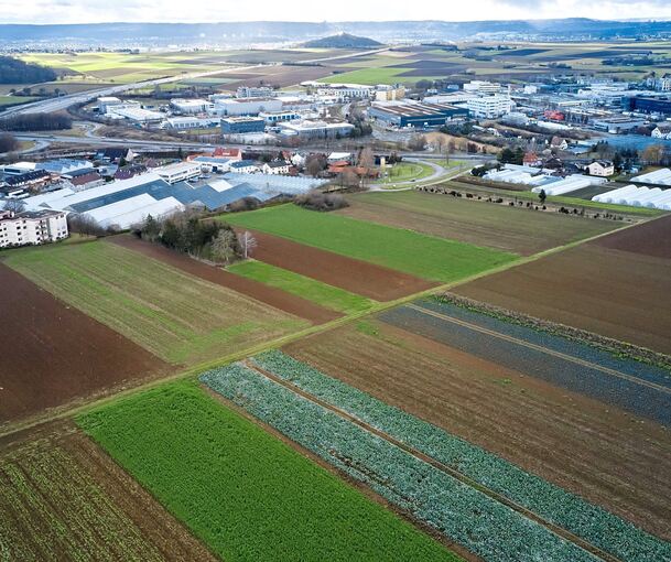 Auf dieser Fläche, die auch als Rückzugsraum für seltene Arten gilt, sollte sich Gewerbe ansiedeln, unter anderem galt Porsche als Interessent.