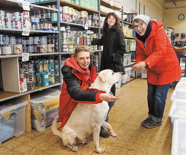 Kerstin Fink mit Simba, Bettina Reichel und Michaela Bakowski im Lager in Oberstenfeld. Foto: Ramona Theiss