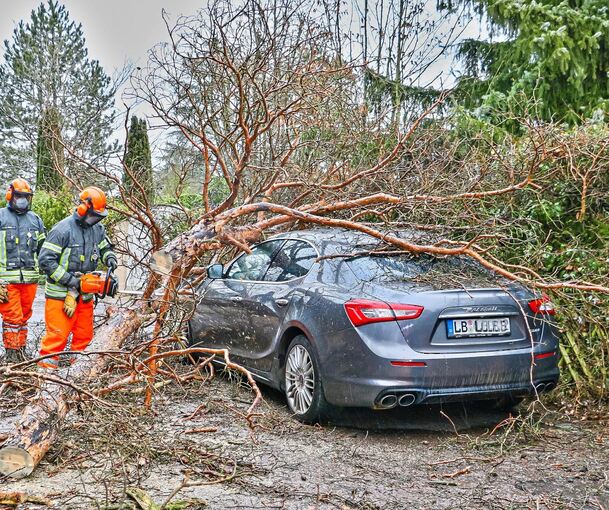 Der umgestürzte Baum hat den Maserati unter sich begraben. Die Feuerwehr Gerlingen war mit zwei Fahrzeugen vor Ort. Foto: KS-Images.de/Andreas Rometsch