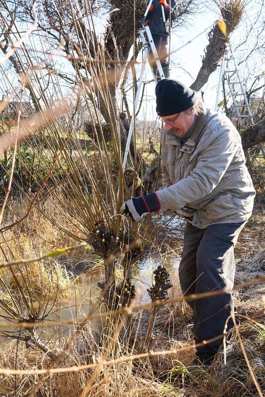 350_0008_2964864_2022_02_13_005_Andreas_Becker