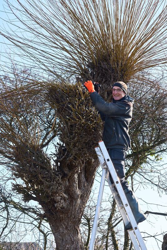 350_0008_2964862_2022_02_13_007_Andreas_Becker