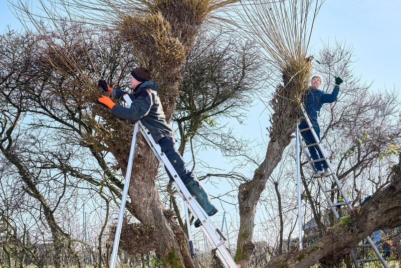 350_0008_2964861_2022_02_13_010_Andreas_Becker