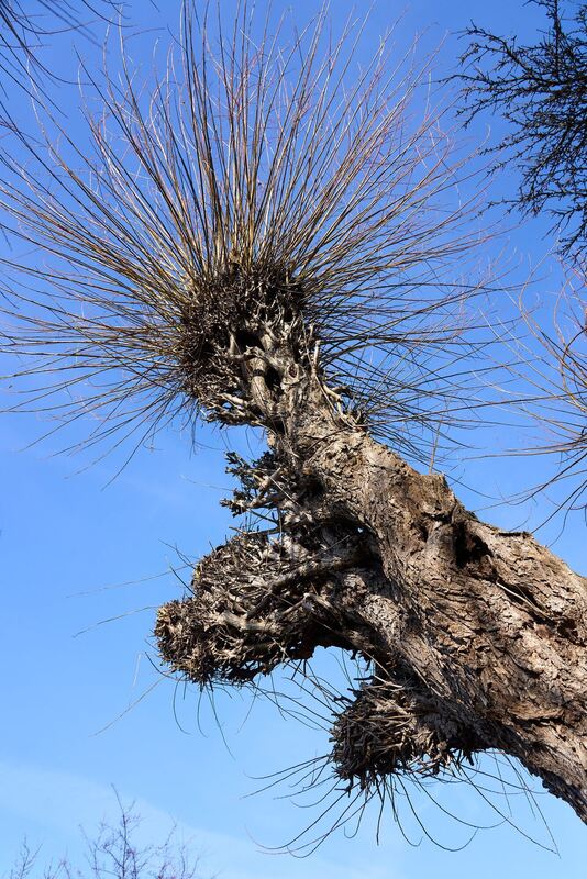 350_0008_2964856_2022_02_13_003_Andreas_Becker