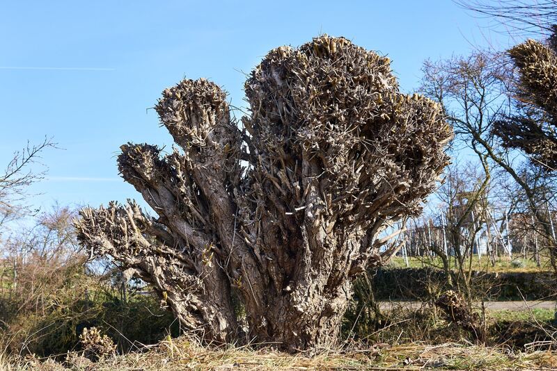 350_0008_2964854_2022_02_13_002_Andreas_Becker