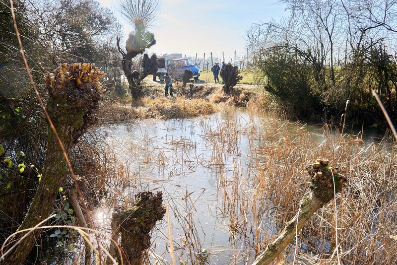 350_0008_2964853_2022_02_13_001_Andreas_Becker