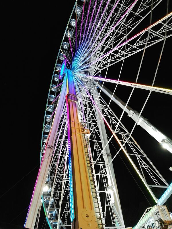 350_0008_2978360_Riesenrad_Ricarda_von_Kleist