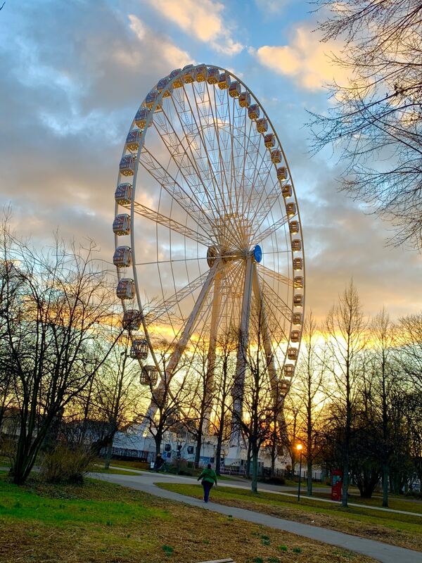 350_0008_2984044_Riesenrad_Waltraud_Fichtner