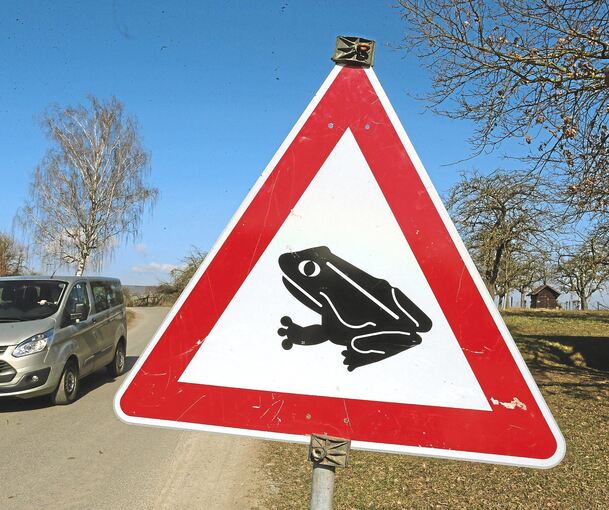 Auf diversen Straßen gibt es Sperrungen wegen der Krötenwanderungen, Symbolbild: Alfred Drossel