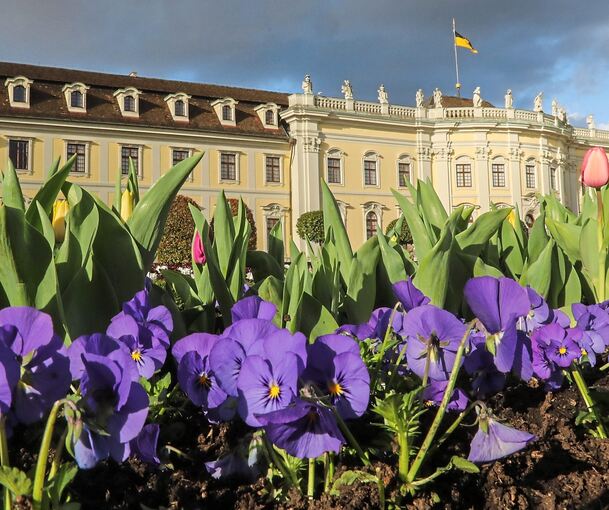 Im Blühenden Barock laufen die letzten Vorbereitungen für die Saisoneröffnung am 18. März. Archivfoto: Ramona Theiss