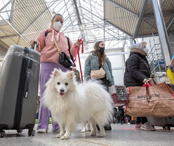Mit Koffern und Haustieren kommen Ukrainer in Deutschland an. Foto: Peter Kneffel /dpa