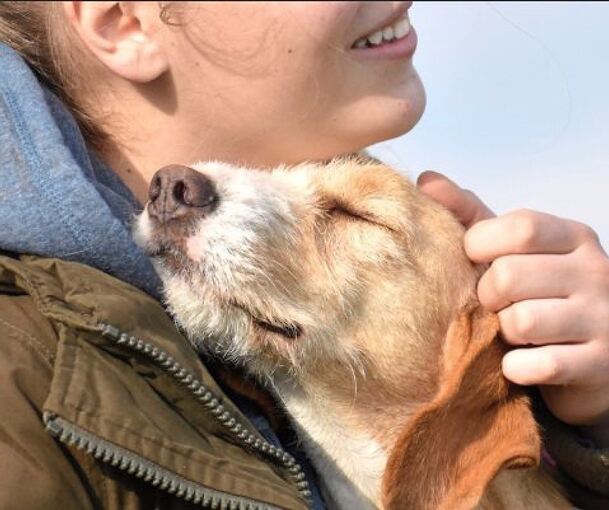In Pula werden herrenlose Tiere nun wieder liebevoll aufgepäppelt. Fotos: Tierheim Snoopy