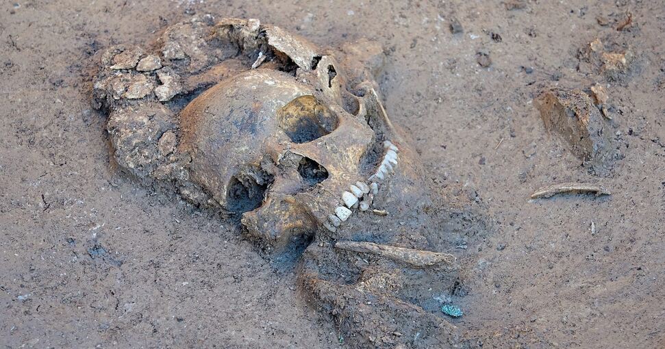 Der Schädel eines der geborgenen Toten. Foto: Andreas Becker