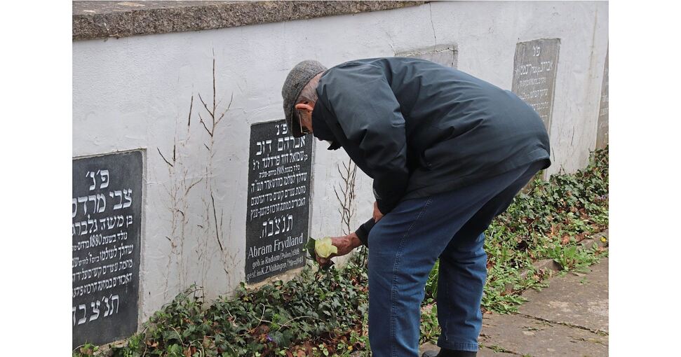Ein Mann legt auf dem KZ-Ehrenfriedhof in Vaihingen eine weiße Rose nieder. Foto: Albert Arning
