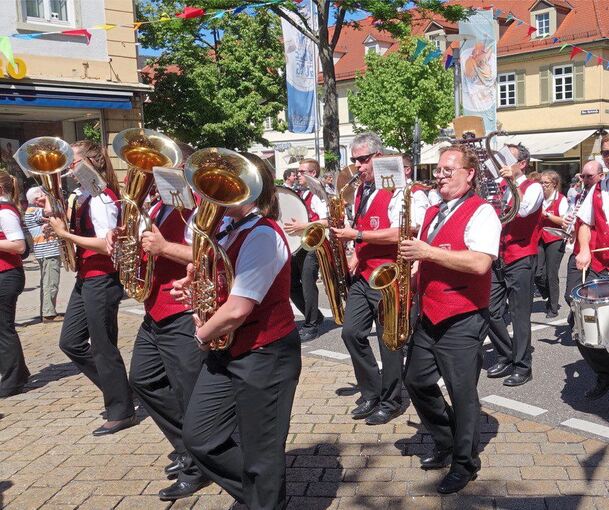 Verschiedene Musikgruppen werden bei „Ludwigsburg klingt“ durch die Stadt ziehen und Konzerte geben. Archivfoto: privat