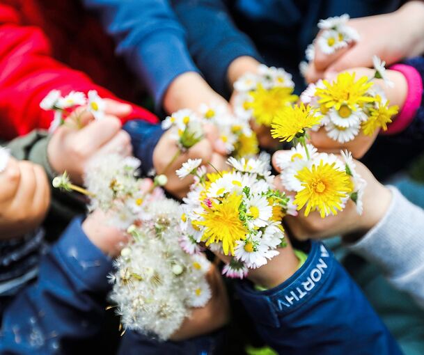Die Kinder pflücken Blumen für ihre Mütter. Den Strauß gibt es dann am Sonntag als Geschenk zum Muttertag. Foto: Ramona Theiss