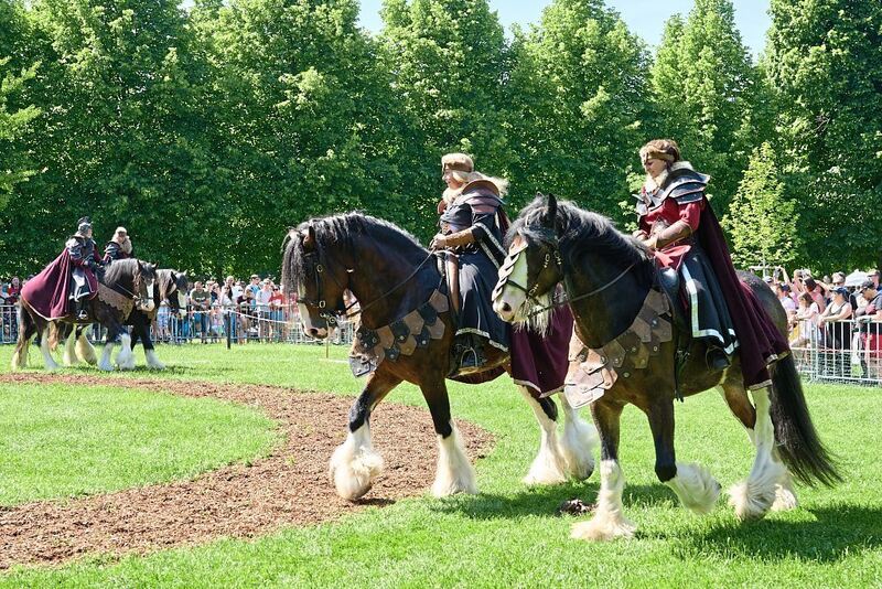 350_0008_3093942_2022_05_15_106_Andreas_Becker