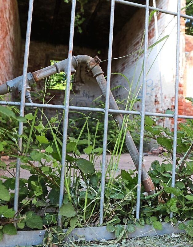 350_0008_3098979_18_05_22Theiss_188