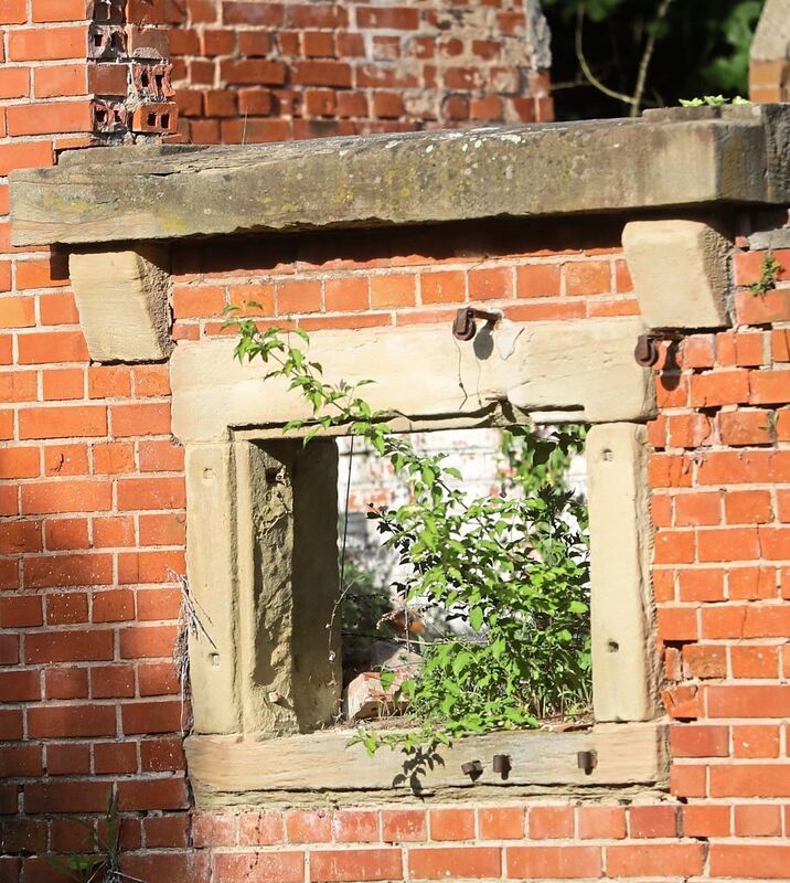 350_0008_3098948_18_05_22Theiss_153