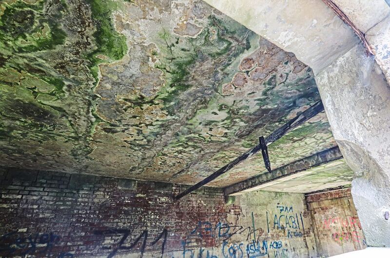 350_0008_3098952_18_05_22Theiss_157