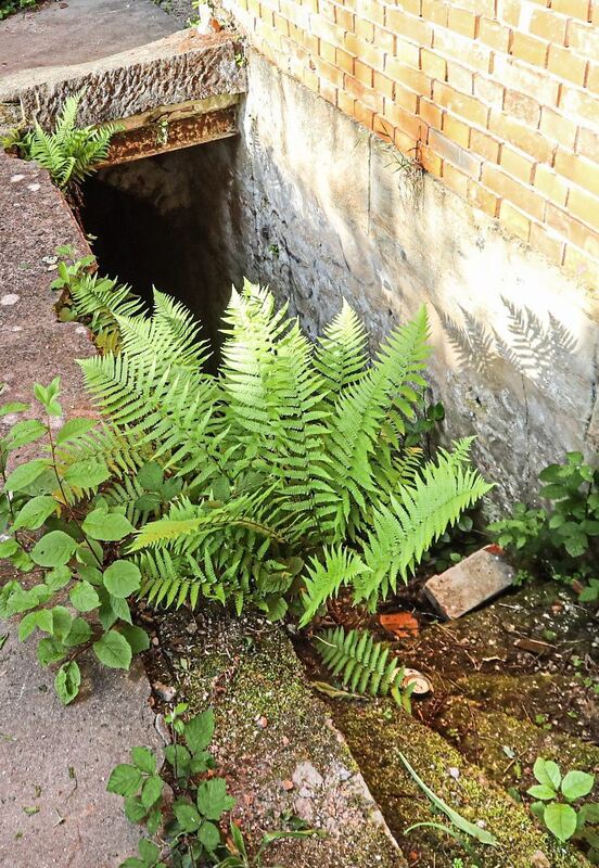 350_0008_3098960_18_05_22Theiss_161