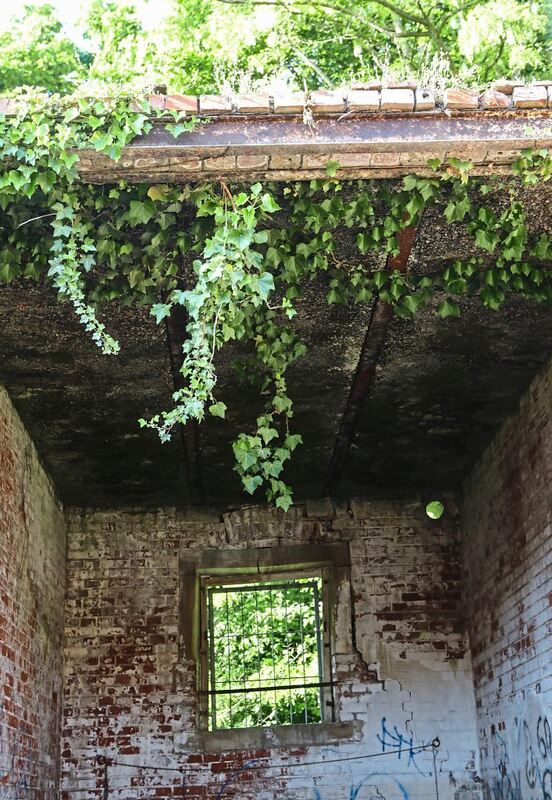 350_0008_3098963_18_05_22Theiss_162