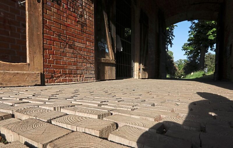 350_0008_3098964_18_05_22Theiss_165