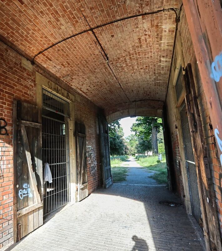 350_0008_3098965_18_05_22Theiss_166