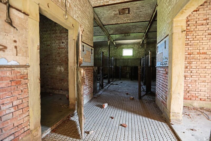 350_0008_3098966_18_05_22Theiss_167