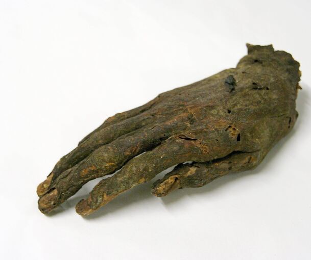 Der Umgang mit der Mumienhand, die eines von 25 000 Exponaten aus der Stadtgeschichtlichen Sammlung ist, ist nicht einfach. Foto: Ludwigsburg Museum