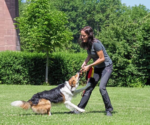 ... der die bunten Bänder gar nicht mehr hergeben möchte. Fotos: Holm Wolschendorf