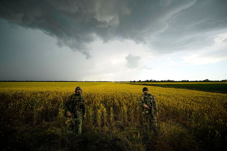Weizenfeld in der Ukraine