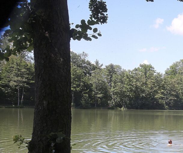 Die Tat geschah an den Seewaldseen bei Horrheim. Die Tat geschah an den Seewaldseen bei Horrheim.