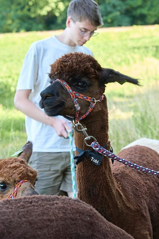 350_0008_3164947_2022_07_08_016_Andreas_Becker