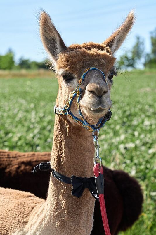 350_0008_3164954_2022_07_08_024_Andreas_Becker