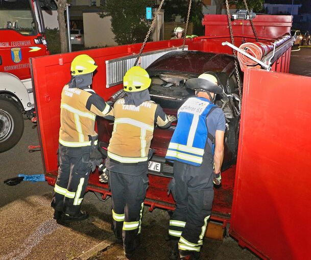 Die Feuerwehr packt mit vereinten Kräften an.